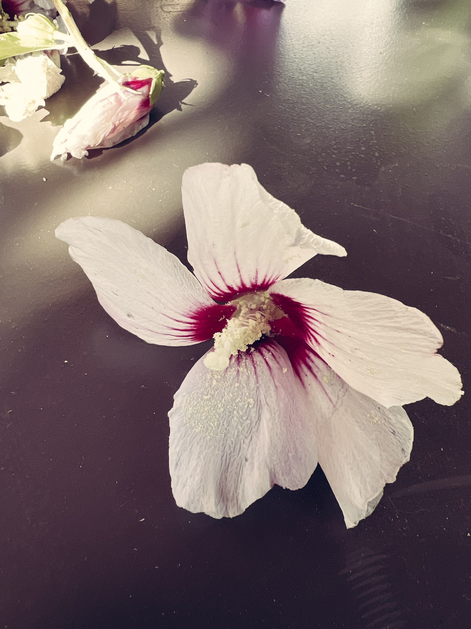 2025-Septembre-Decembre